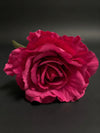 Rosa Flor Flamenca Fucsia Vibrante