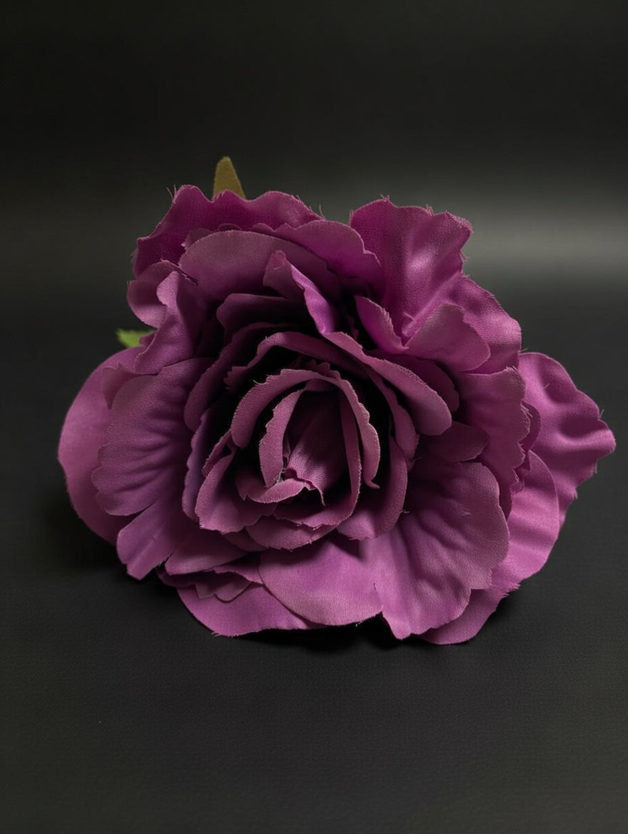 Rosa Flor Flamenca Buganvilla