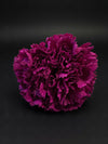 Flor Flamenca Buganvilla Intensa