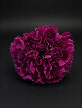 Flor Flamenca Buganvilla Intensa