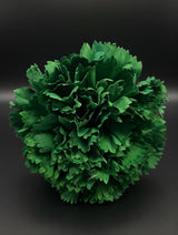 Flor Flamenca Verde Botella