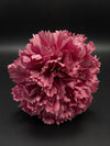 Flor Flamenca Rosa Empolvado