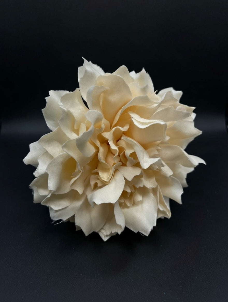 Flor tono marfil suave y luminoso