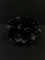 Flor negro profundo