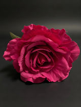 Rosa Flor Flamenca Fucsia Vibrante
