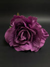 Rosa Flor Flamenca Buganvilla
