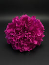 Flor Flamenca Fucsia Intenso