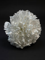 Flor Flamenca Blanco Puro