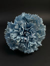 Flor Flamenca Azul Cielo Empolvado
