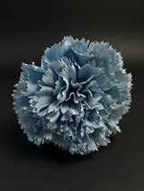Flor Flamenca Azul Cielo Empolvado
