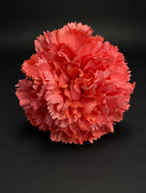 Flor Flamenca Coral