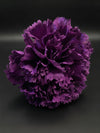 Flor Flamenca Buganvilla Texturizada