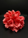 Flor coral rosado suave y luminoso