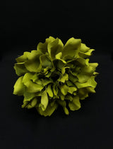 Flor verde oliva intenso
