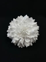 Flor blanco puro y luminoso